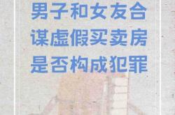 虚假交易定义是什么意思