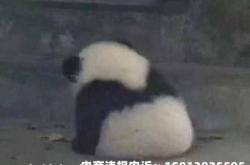 虚假交易降权了吗知乎