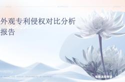 外观设计专利侵权标准认定