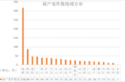 衡水虚假交易案件查询网