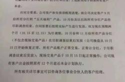 虚假交易骗取公司资金怎么处理