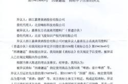 滥用商标异议书怎么写