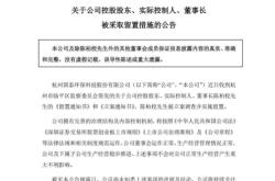 公司股东虚假出资后受让股东责任