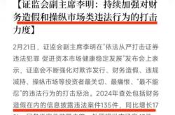 虚假交易12分处罚