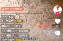 粮仓虚假交易案例视频大全