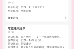 虚假交易店铺违规申诉怎么写