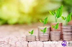 虚假交易特征有哪些方面