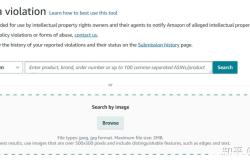 盗图侵权投诉书范文