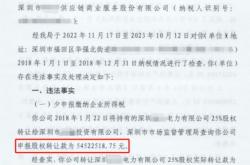 异常交易虚假申报类型有哪些