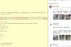 淘宝评价显示虚假交易怎么回事