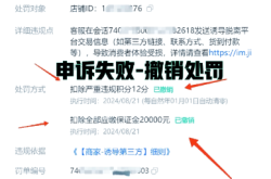 店铺虚假交易处罚期内怎么处理