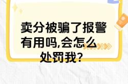 虚假交易扣多少分