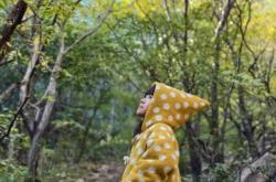 拍照签收虚假交易怎么处理