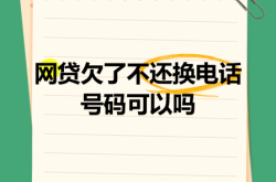 虚假交易抵押贷款不还会怎么样