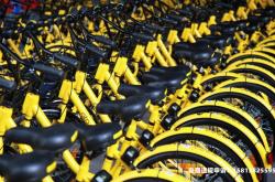 小黄车被判虚假交易怎么处理