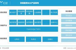 区块链的虚假交易是什么