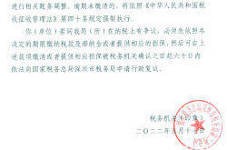 虚假购票被税务稽查怎么办