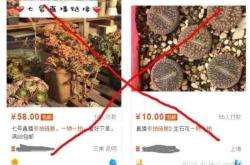 宝贝被判定虚假交易后,还有用吗