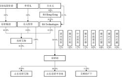 虚假交易股东配偶收款怎么处理