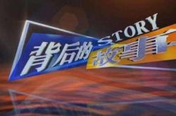 虚假交易的背后故事有哪些