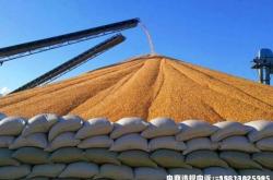 大宗贸易虚假交易案例分析