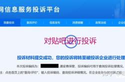 虚假交易申诉理由怎么写