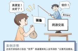 网络虚假交易诈骗事例分析