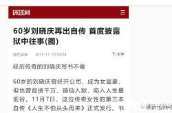 软件自认售假违法吗