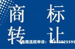 滥用商标起诉流程