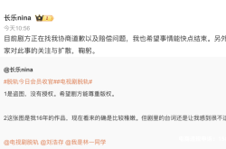 被告盗图侵权怎么办