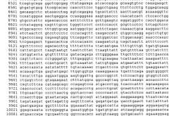 外观设计专利侵权案件数量7801件