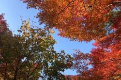 微信盗图违法吗