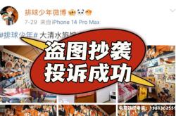 抄袭盗图侵权吗判几年