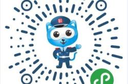 虚假交易案例分析