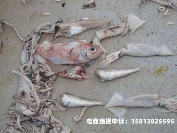 闲鱼违规侵犯著作权吗-第1张图片