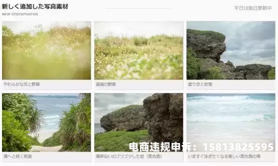 侵权 盗图 证明怎么写-第2张图片