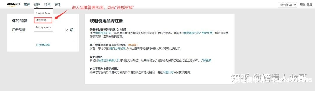 收到外观专利侵权赔偿款怎么处理-第2张图片
