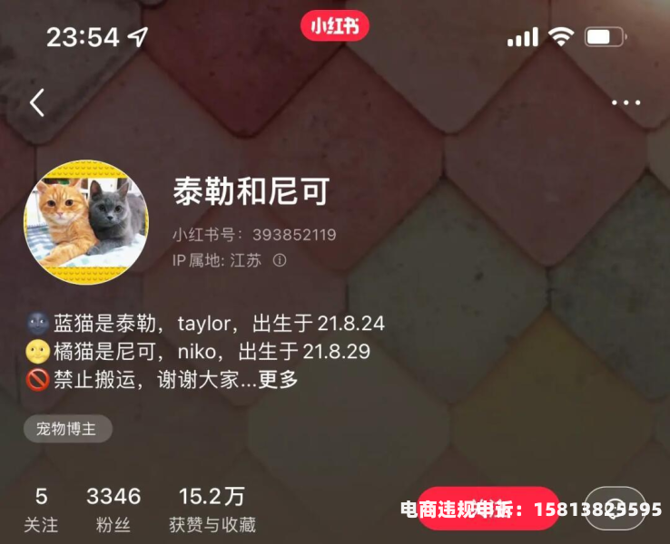 博主盗图侵权吗-第2张图片