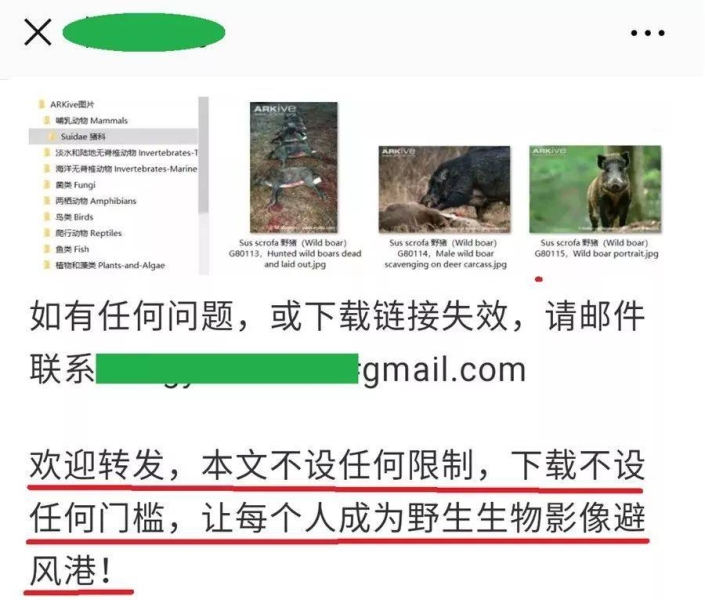 盗图侵权处理流程图片-第1张图片