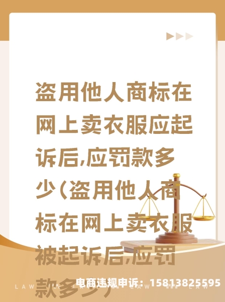 盗图侵权赔钱怎么处理的-第1张图片