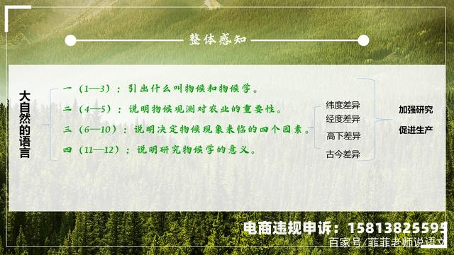 虚假交易怎么补充说明文-第2张图片