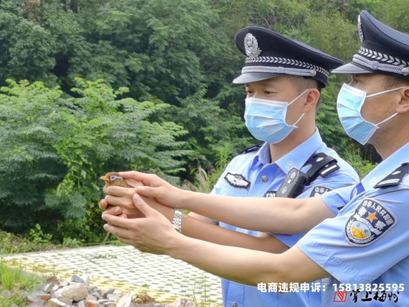 莒南虚假交易案件最新消息-第2张图片