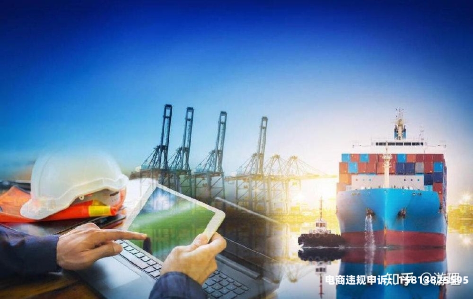 虚假交易流水骗取贷款案例-第1张图片