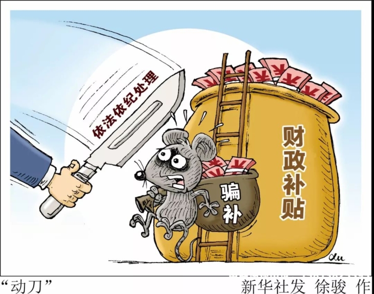 虚假交易骗取政府补贴怎么办-第2张图片