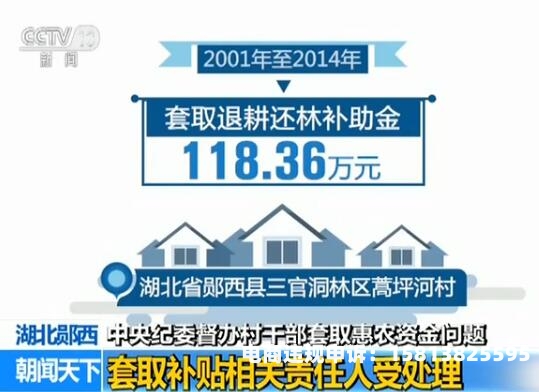虚假交易骗取政府补贴怎么办-第1张图片