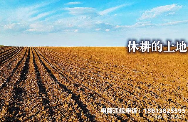 虚假交易土地法规有哪些-第1张图片