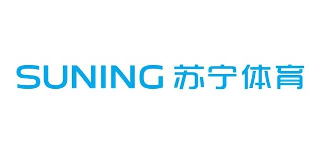 苏宁公司虚假交易案例-第1张图片