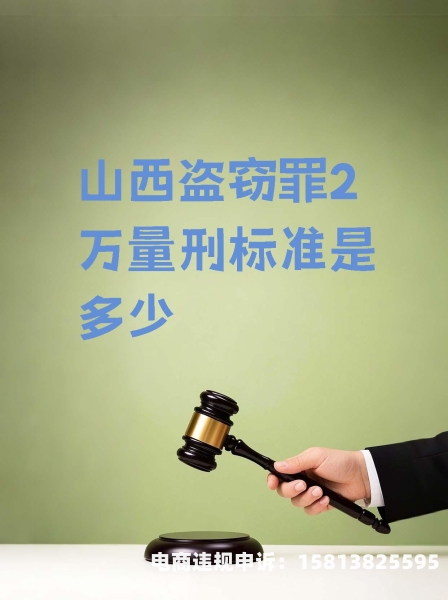 多次盗窃虚假交易罪量刑标准-第1张图片