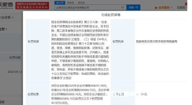 如何逃避稽查虚假交易案件-第1张图片