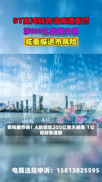 2021虚假交易-第1张图片